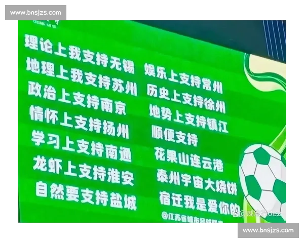 双轮驱动：苏超如何用政府协同与专业运营撬动流量爆炸